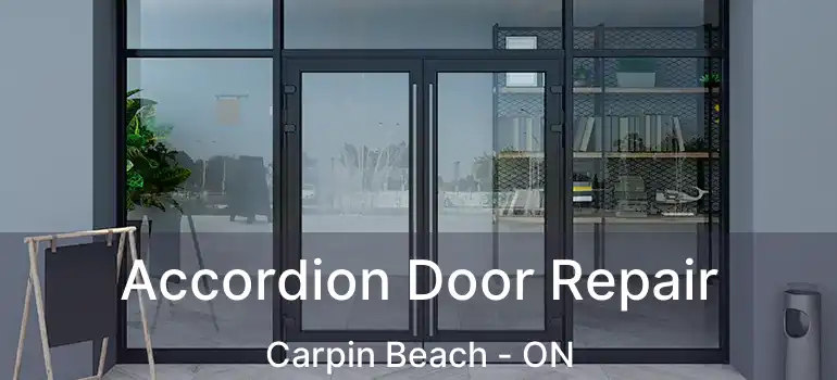 Accordion Door Repair Carpin Beach - ON