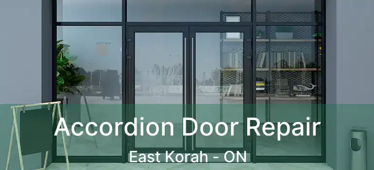 Accordion Door Repair East Korah - ON