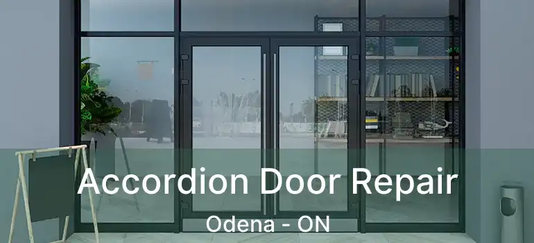 Accordion Door Repair Odena - ON