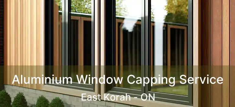 Aluminium Window Capping Service East Korah - ON