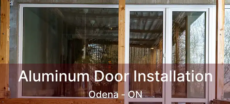 Aluminum Door Installation Odena - ON