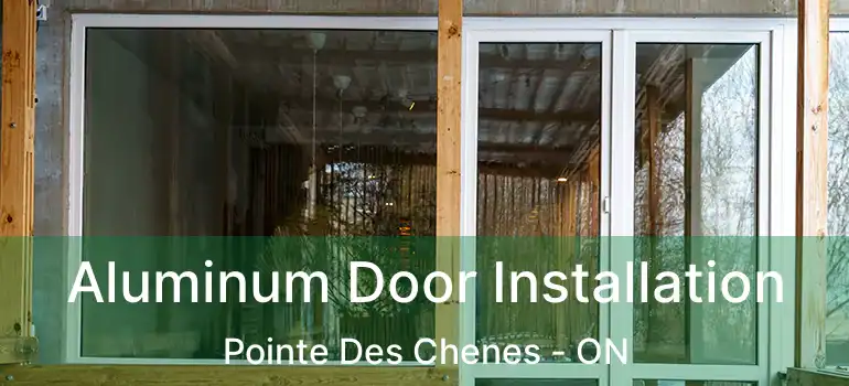 Aluminum Door Installation Pointe Des Chenes - ON