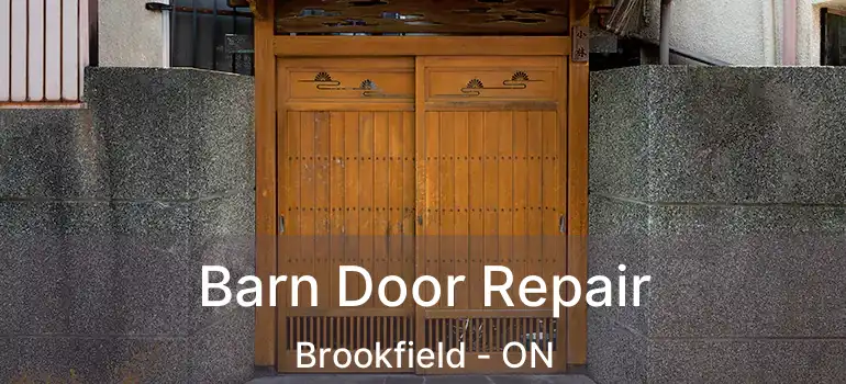 Barn Door Repair Brookfield - ON