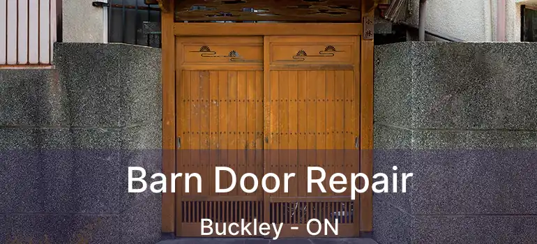 Barn Door Repair Buckley - ON