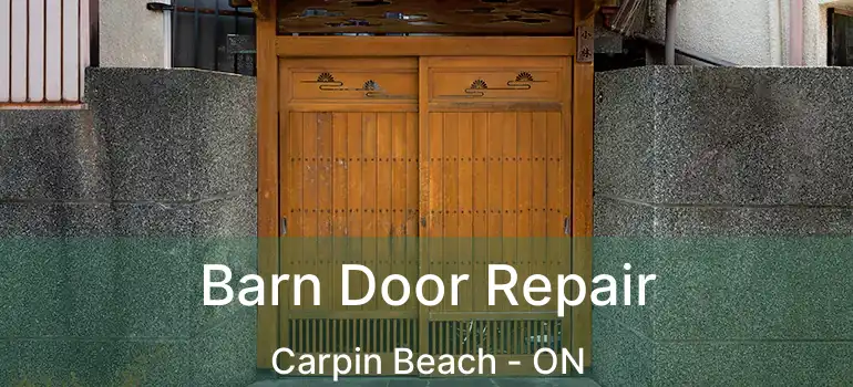 Barn Door Repair Carpin Beach - ON