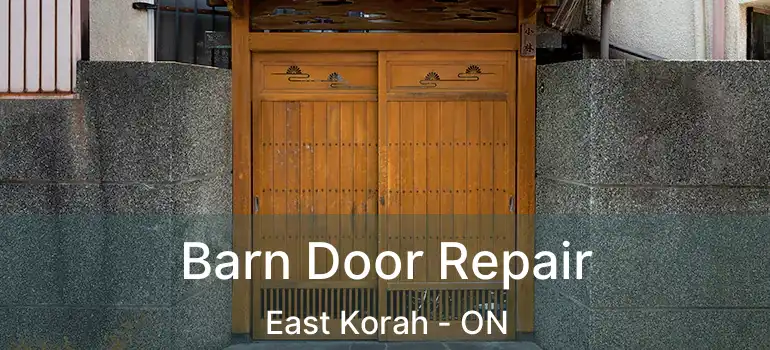 Barn Door Repair East Korah - ON