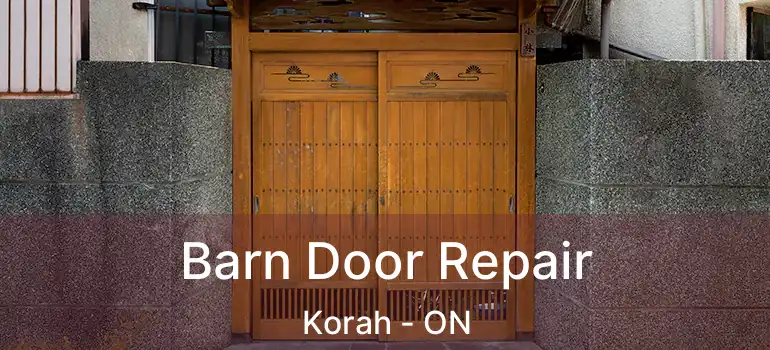 Barn Door Repair Korah - ON