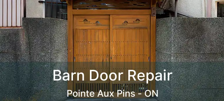 Barn Door Repair Pointe Aux Pins - ON