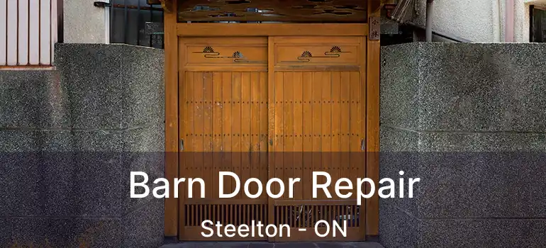 Barn Door Repair Steelton - ON