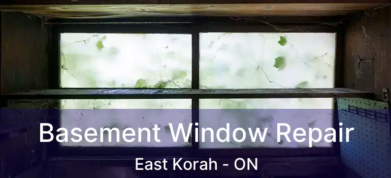 Basement Window Repair East Korah - ON