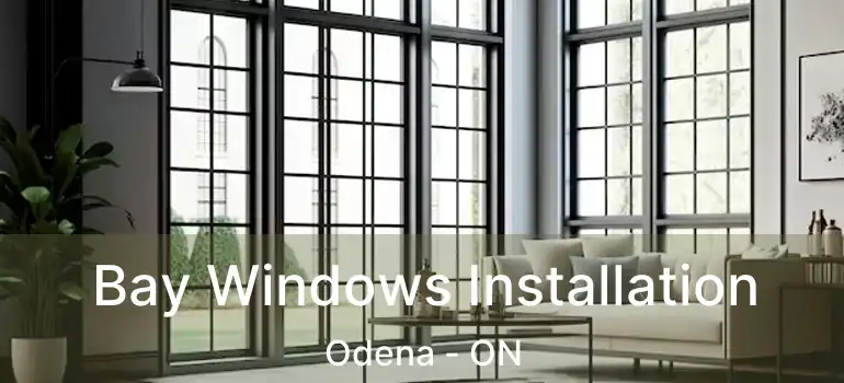  Bay Windows Installation Odena - ON