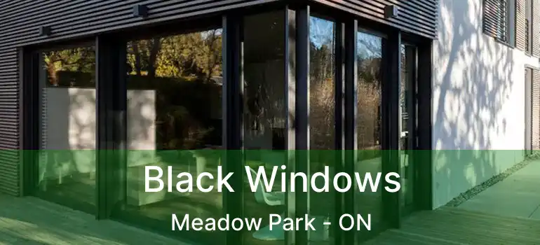 Black Windows Meadow Park - ON