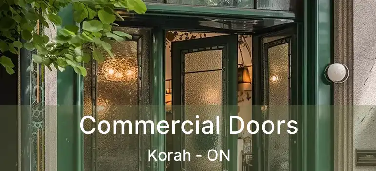 Commercial Doors Korah - ON