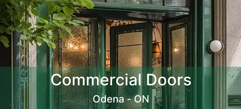 Commercial Doors Odena - ON