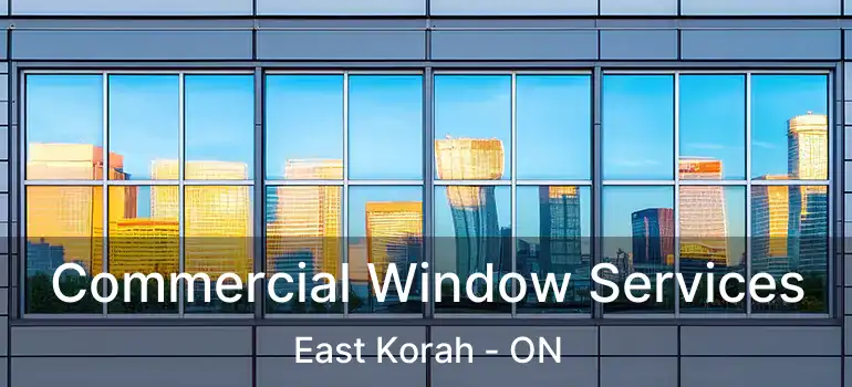 Commercial Window Services East Korah - ON