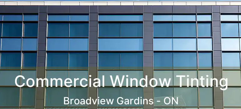 Commercial Window Tinting Broadview Gardins - ON