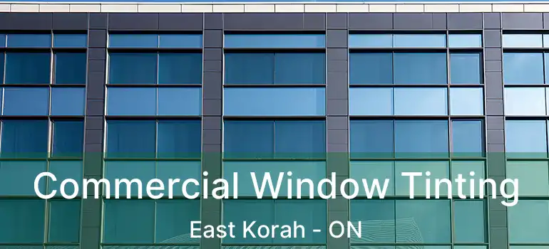 Commercial Window Tinting East Korah - ON