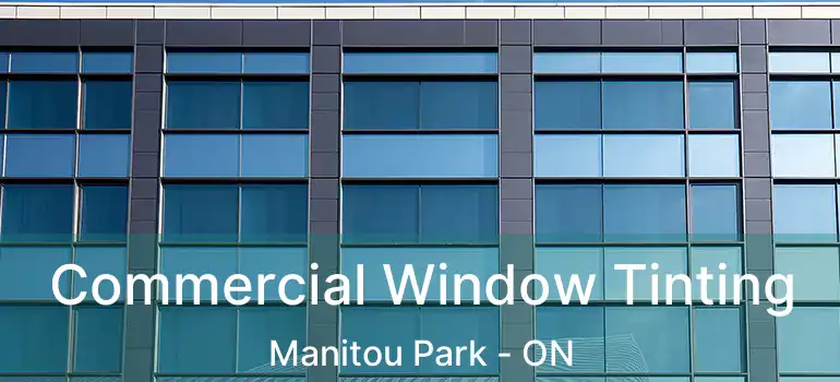 Commercial Window Tinting Manitou Park - ON