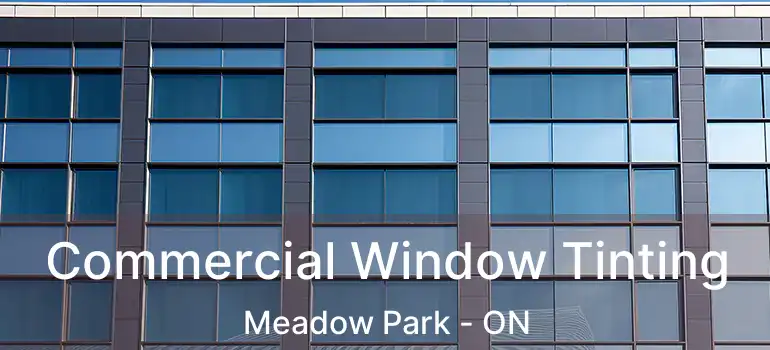 Commercial Window Tinting Meadow Park - ON