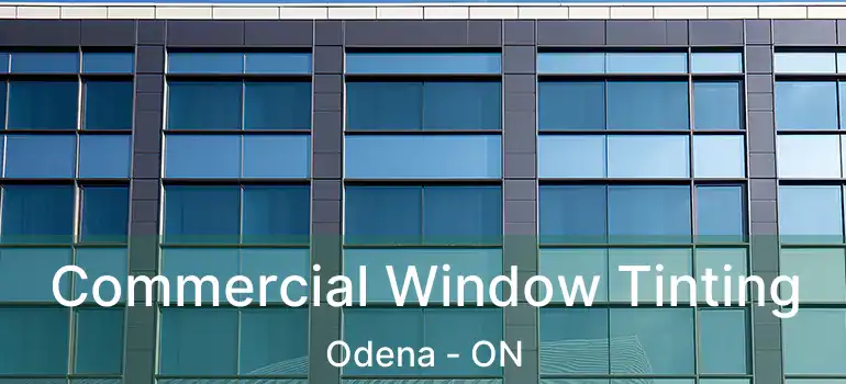 Commercial Window Tinting Odena - ON