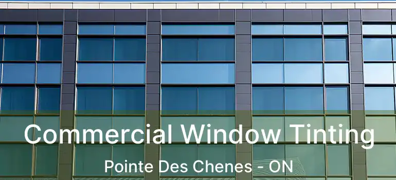 Commercial Window Tinting Pointe Des Chenes - ON