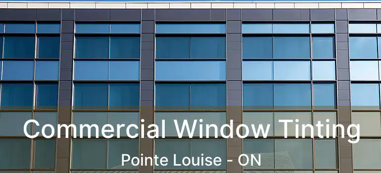 Commercial Window Tinting Pointe Louise - ON
