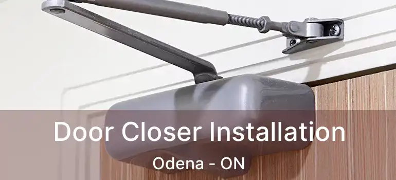  Door Closer Installation Odena - ON