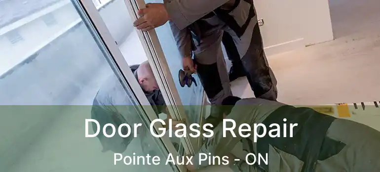 Door Glass Repair Pointe Aux Pins - ON