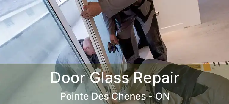 Door Glass Repair Pointe Des Chenes - ON