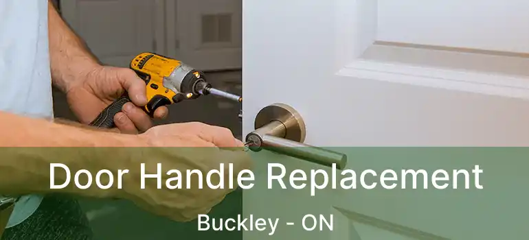 Door Handle Replacement Buckley - ON