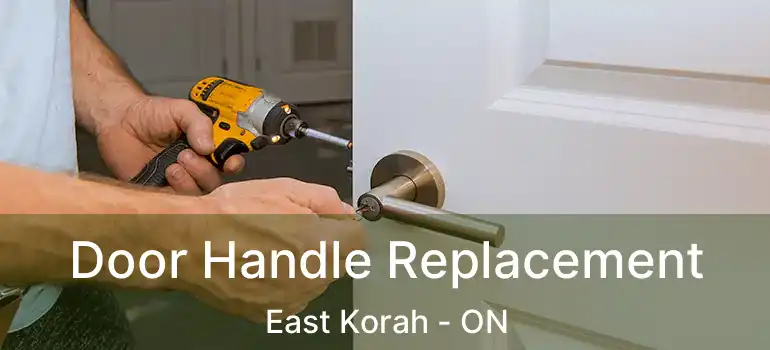Door Handle Replacement East Korah - ON