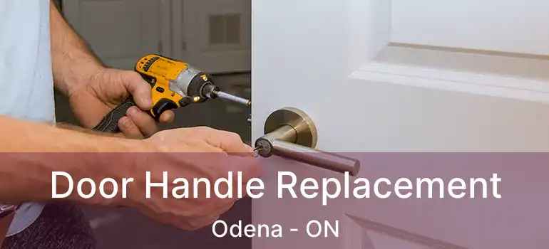 Door Handle Replacement Odena - ON