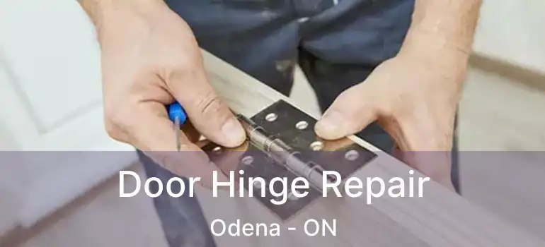 Door Hinge Repair Odena - ON