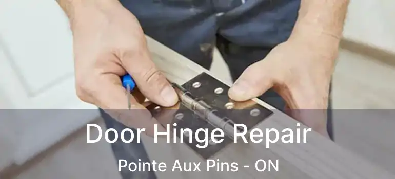 Door Hinge Repair Pointe Aux Pins - ON