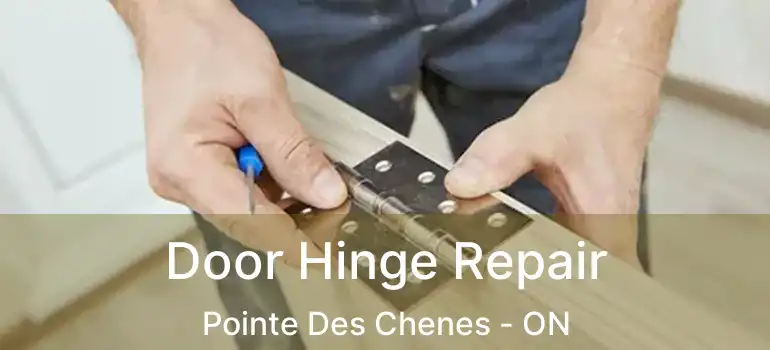 Door Hinge Repair Pointe Des Chenes - ON