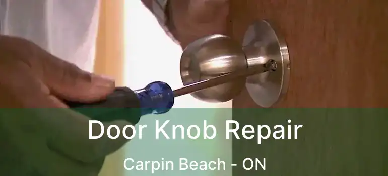 Door Knob Repair Carpin Beach - ON