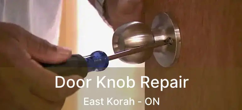 Door Knob Repair East Korah - ON