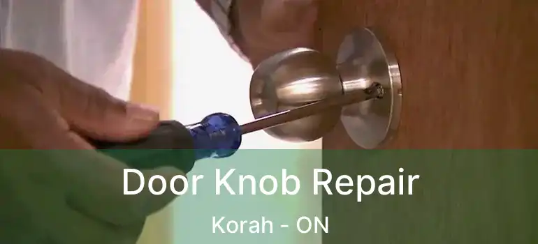 Door Knob Repair Korah - ON