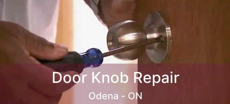 Door Knob Repair Odena - ON