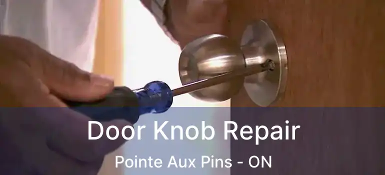 Door Knob Repair Pointe Aux Pins - ON