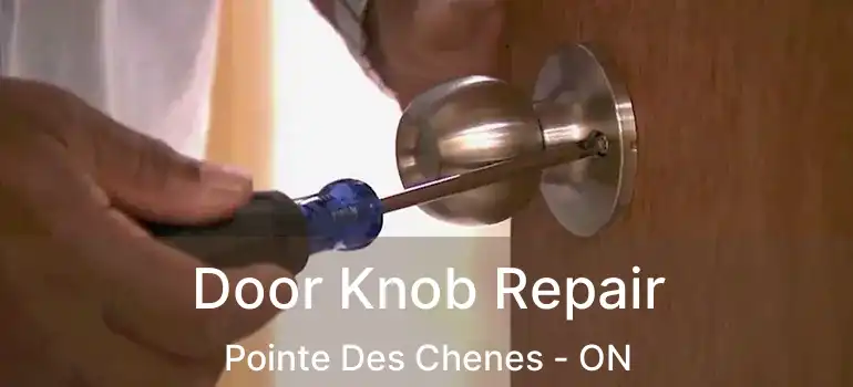 Door Knob Repair Pointe Des Chenes - ON