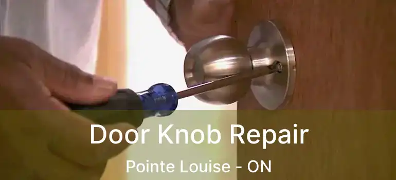 Door Knob Repair Pointe Louise - ON