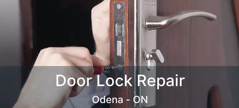 Door Lock Repair Odena - ON