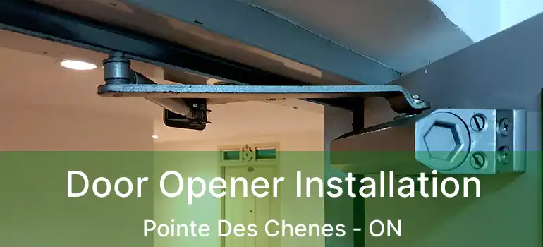 Door Opener Installation Pointe Des Chenes - ON