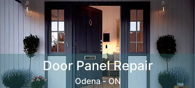 Door Panel Repair Odena - ON