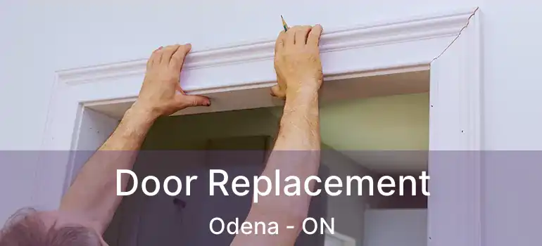 Door Replacement Odena - ON