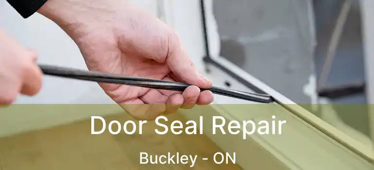 Door Seal Repair Buckley - ON