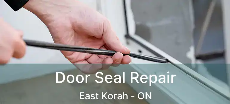 Door Seal Repair East Korah - ON