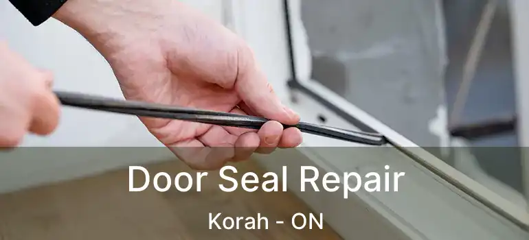 Door Seal Repair Korah - ON