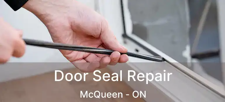 Door Seal Repair McQueen - ON